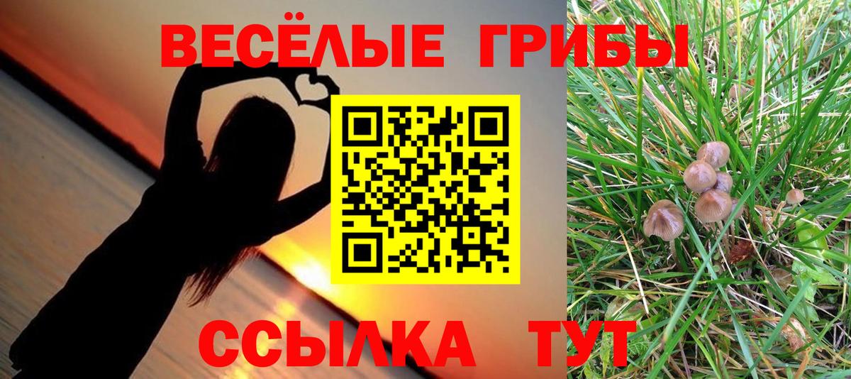 Псилоцибиновые грибы мицелий Красный Сулин